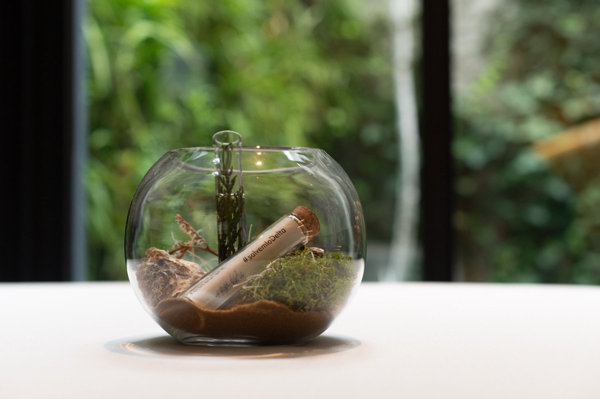 #salvemlodelta així rebem els nostres clients al restaurant aquests dies🌾✨