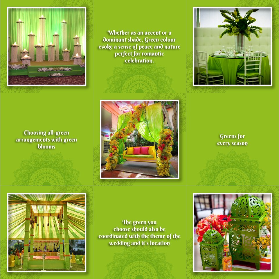 shaadiwalajpr's tweet photo. Green theme decor 💚
The green you choose should also be coordinated with the theme of the wedding and it's location.
Green for every season...

#shaadiwalaweddingplanners #shaadiseason
#weddinginspiration 

For more information
Contact-9950710710
Visit - https://t.co/MCb1TuCpuE https://t.co/dFHiCTp8ox