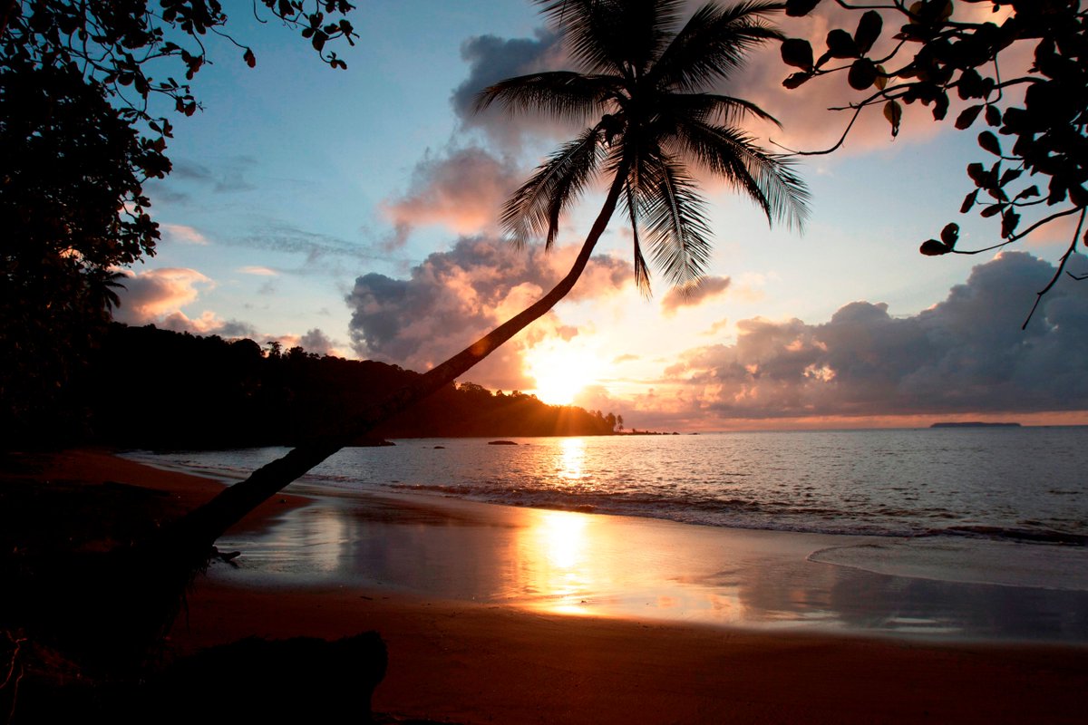 copadearbol's tweet photo. The perfect ending to a beautiful day in #DrakeBay. #copadearbol #osapeninsula #costarica #costaricatravel #beachresort #beachvacation #tropicalvacation #ecotourism #ecoluxury #visitcostarica #thisiscostarica #crvrocks #costaricaexperts #goplaya #top10costarica https://t.co/ovmgsKrX6y