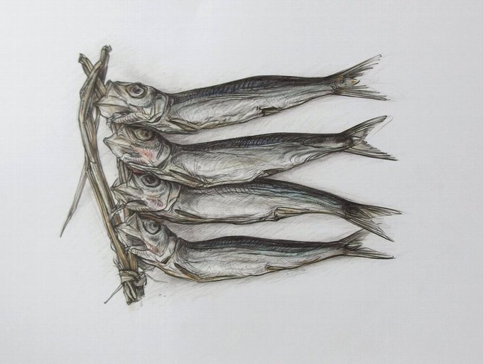 鰯のtwitterイラスト検索結果 古い順