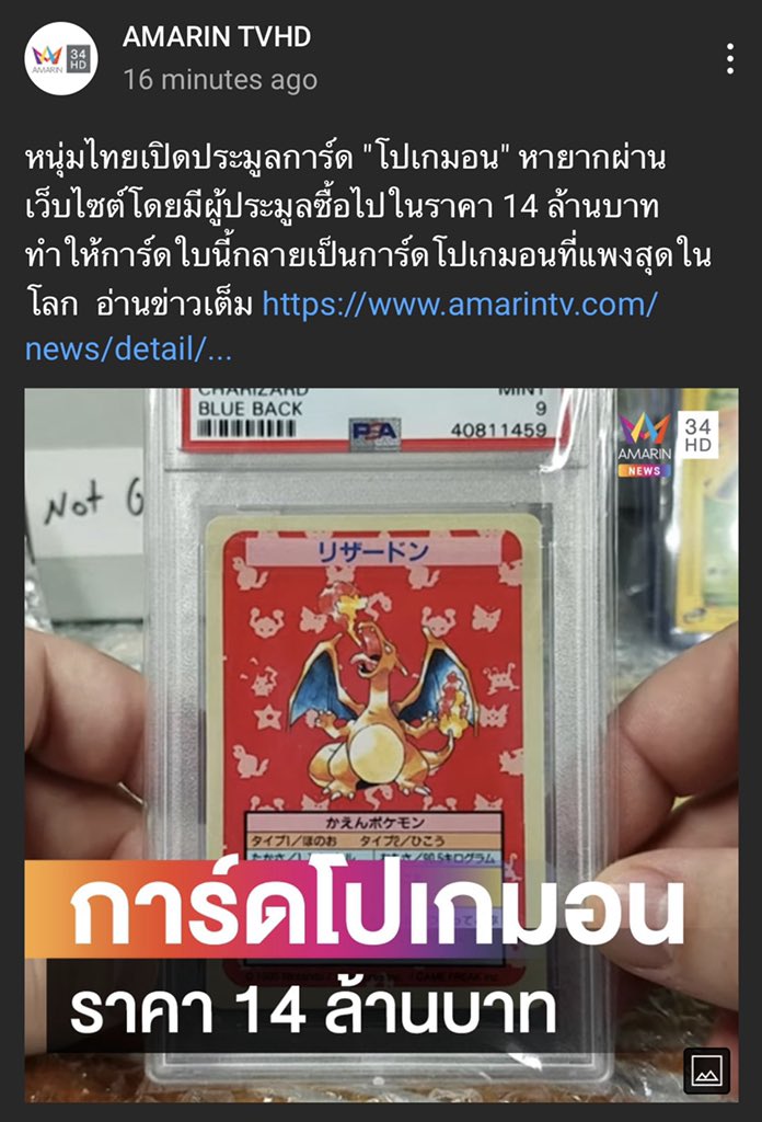 🥚 tweet media