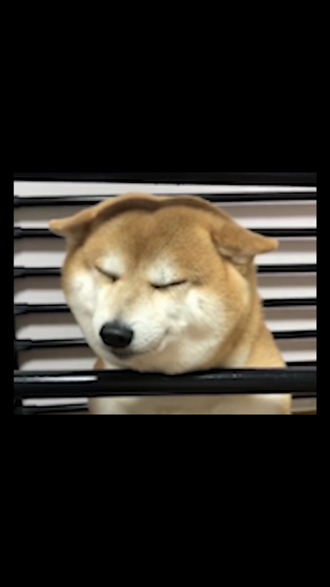 OhPromotedOne tweet picture