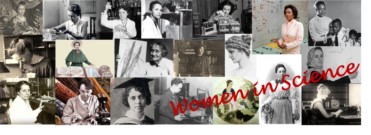 RashmiPMohanty's tweet photo. Our event on 20 women scientists who changed the world for #UTGirlDay @UTWEP. The stories are adapted from the book "Women in Science" by @ignotofsky
#womeninscience #WomenInSTEM 

https://t.co/CX1zFN8wnt https://t.co/ROrL30Wn1J