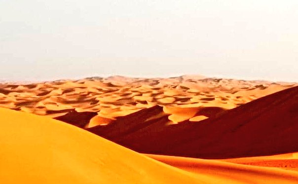 maxcalderan's tweet photo. Straight ahead for the last 200km
#calderanline #emptyquarter2020 https://t.co/5VGenfuNQe