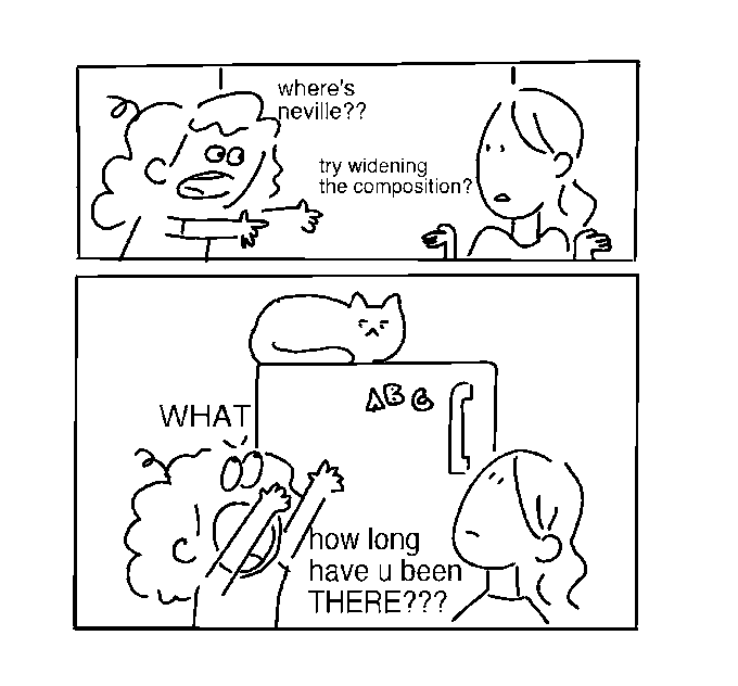 half-cooked joke 