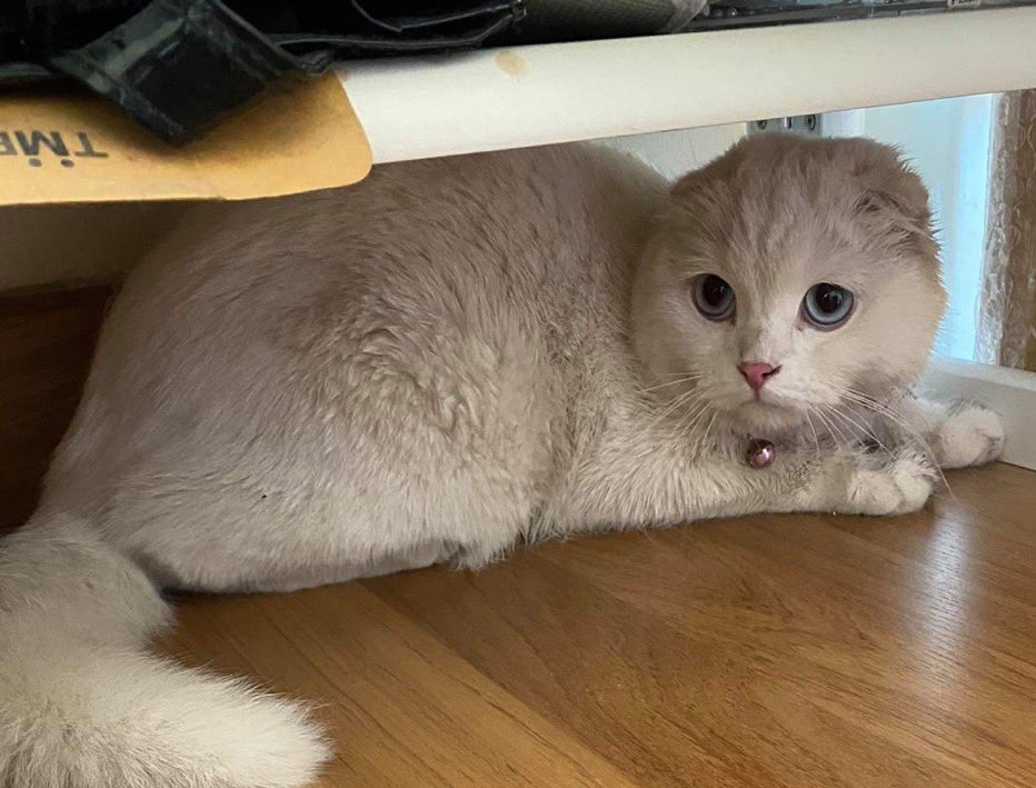 รูปบนโปรไฟล์ตอนจีบ                    เรียล