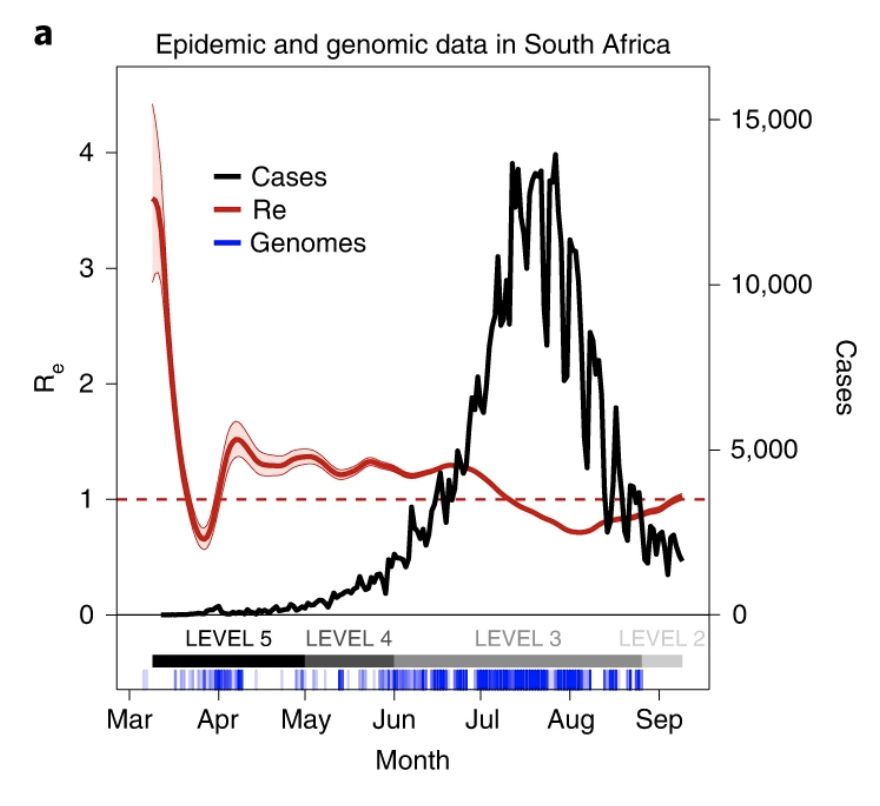 Our report on the genomic characterisation of the first wave of the SARS-CoV-2 epidemic in South-Africa is now out in Nature Medicine, a study which was crucial to confidently describe the 501Y.V2 variant which emerged after this time-frame. [THREAD] https://www.nature.com/articles/s41591-021-01255-3