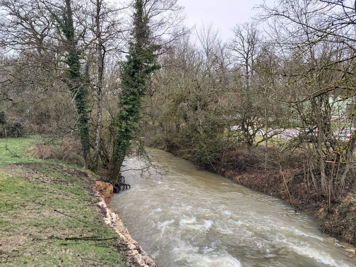 3aGmn's tweet photo. [Restauration de cours d'eau]

Découverte du projet de restauration du petit Vair par #Agrivair 

Végétalisation des berges, enrochement du fond du cours d'eau et arasement des seuils sont autant d'actions en faveur de la #biodiversite et de la #continuiteecologique https://t.co/jzsLFXECs5