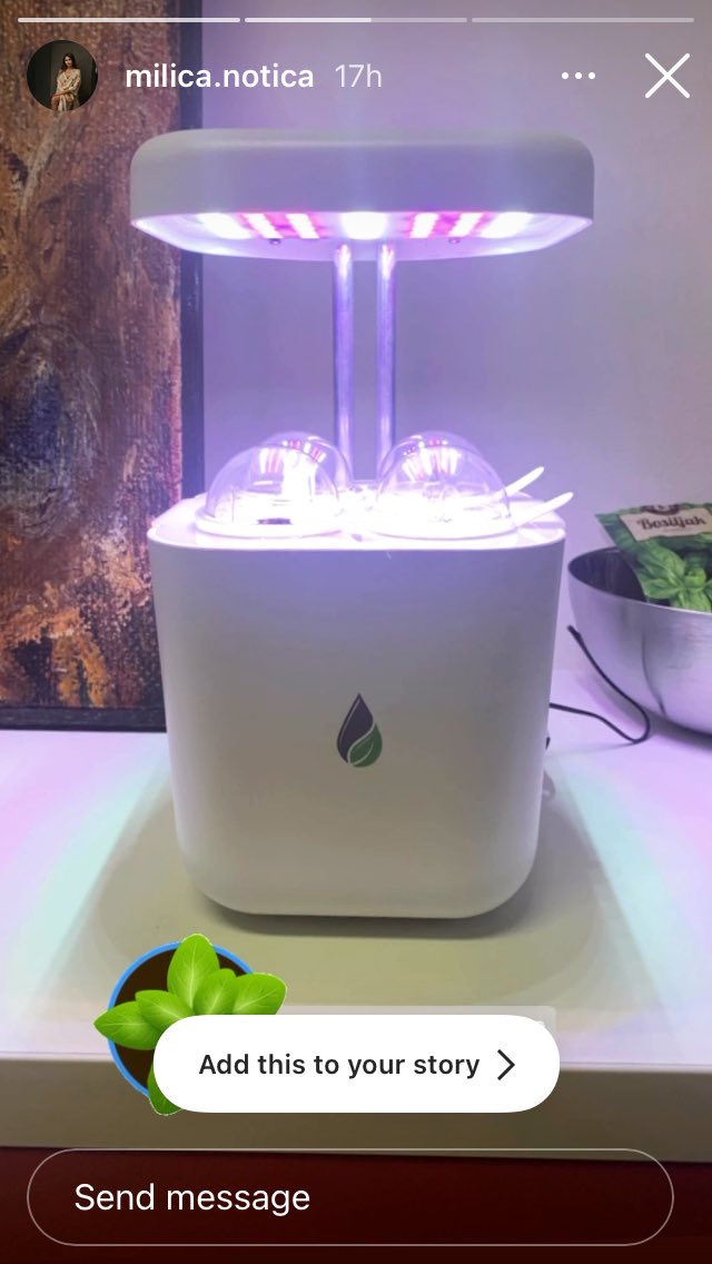 Dok moja vlasnica <a href="/MilicaNotica/">Milica Milosevic</a> radi neke bitne stvari, ja se brinem da je kuci ceka mirisan, zeleni zbunic💚