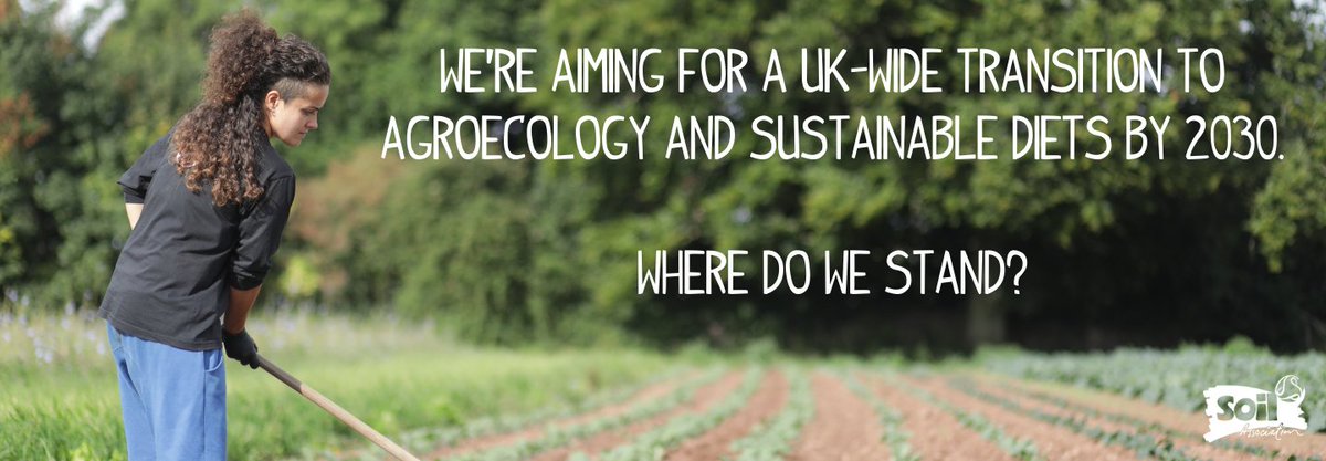 Our *NEW* report is live! 🙌

'10 Years to #Agroecology &amp; #Sustainable Diets: 2020 Progress Report' looks back over the key events of the past year and assesses our progress in working towards a more #nature-friendly farming future 🌿

Download it here: ow.ly/kdDO50DjDxj