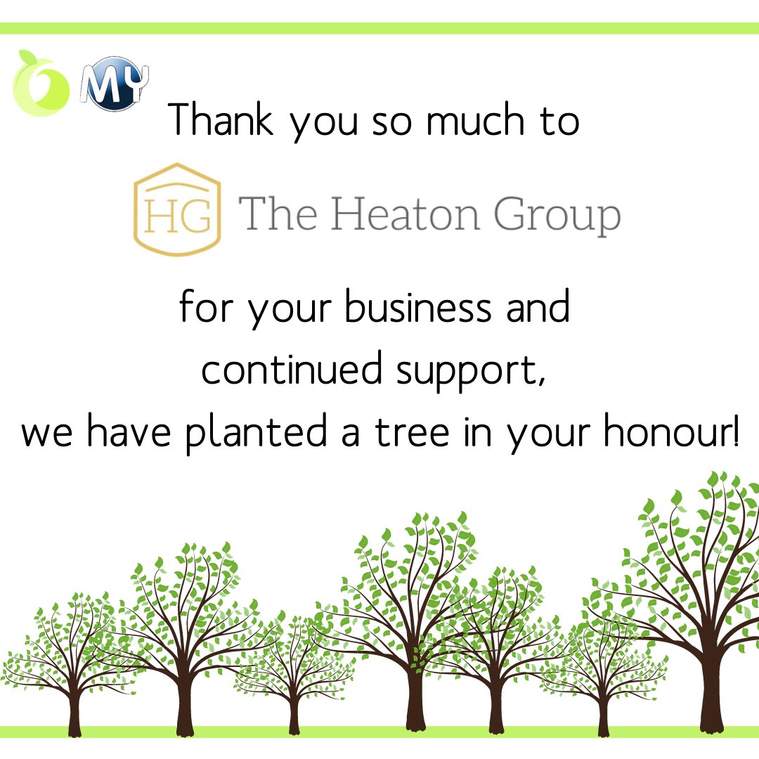 fp_resourcing's tweet photo. We recently helped one of our wonderful clients find a new Management Accountant to join their rapidly growing team, and this will be the 9th tree that we have planted on behalf of The Heaton Group! 

#Tree #FreshForest #Positivity #GiveBack https://t.co/sLBjB2Vefu