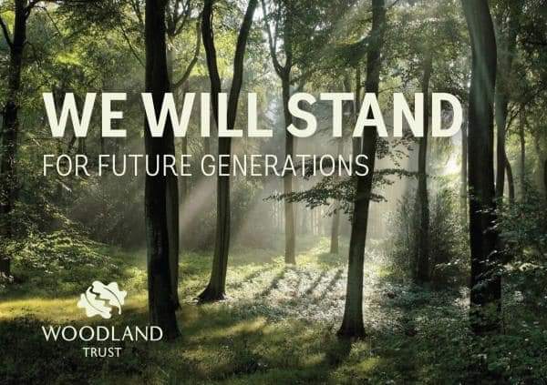 In November we planted 250 trees at ESCC donated by <a href="/WoodlandTrust/">WoodlandTrust</a>
We have 50 trees in our memorial forest and have 5 plaques &amp; donations made for 2021. We can arrange a plaque &amp; wooden stake holder if anyone is interested in a memorial tree please contact us

coltsescc@gmail.com