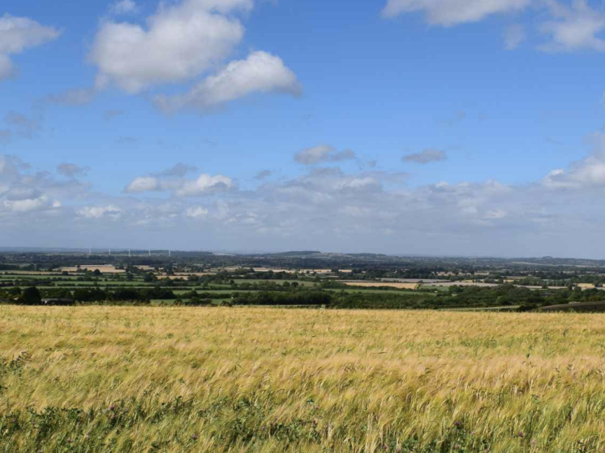 PicnicBank tweet media