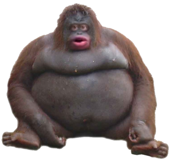 cocopops67 (@cocopops673) on Twitter photo 