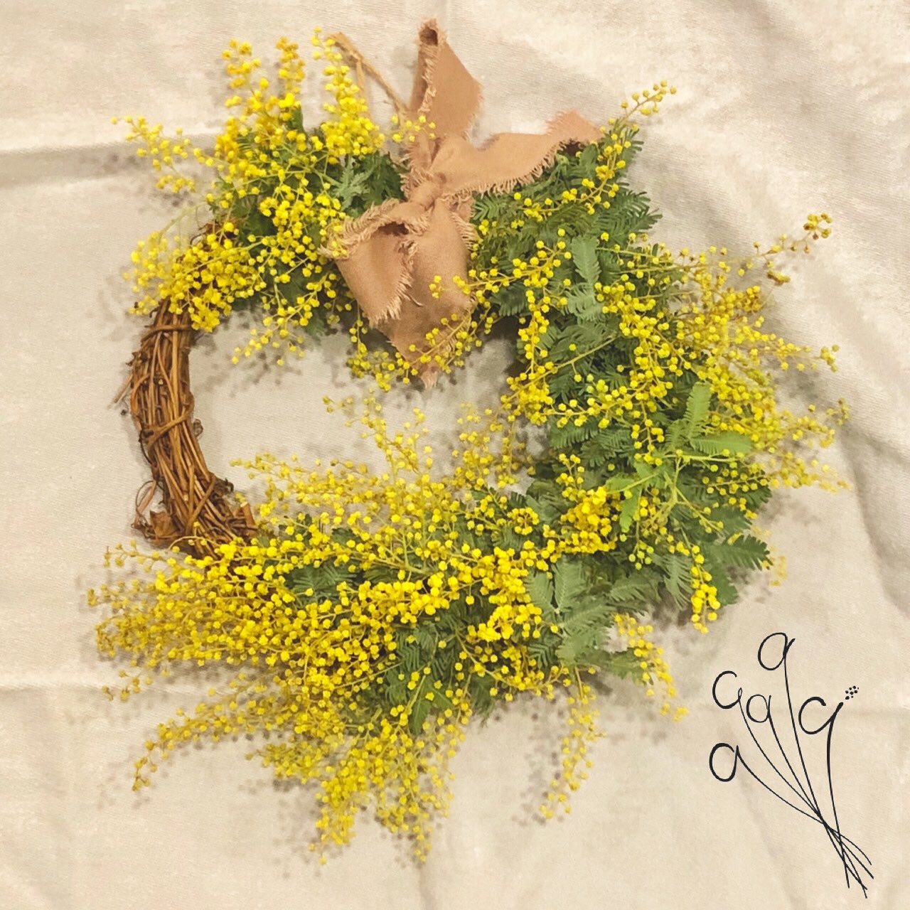 アカシア ミモザの季節 ワクワクする季節 春はすぐそこまで来てますね アカシア Acacia 花屋 広島 花のある暮らし 植物のある暮らし スワッグ リース ドライフラワー おうち時間充実 T Co Iojn7cp5o8 Twitter アカシア ミモザの季節 ワクワクする季節 春はすぐそこまで来てますね アカシア Acacia 花屋 広島 花のある暮らし 植物のある暮らし スワッグ リース ドライフラワー おうち時間充実 T Co Iojn7cp5o8 Twitter