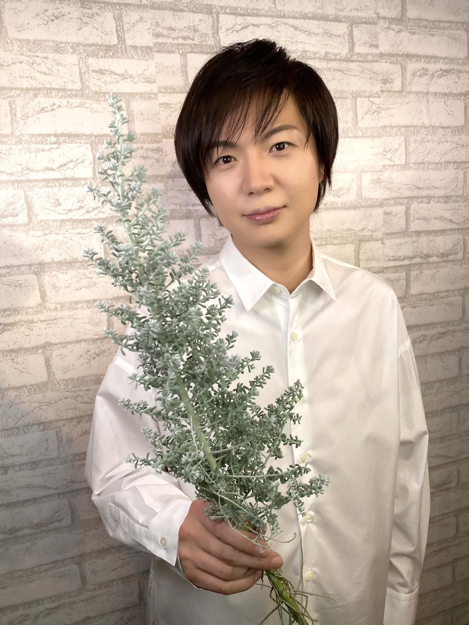 竹島宏スタッフ 公式 Na Twitteru コチア ダイヤモンドダスト 花言葉は 恵まれた生活 小さな花が咲きます 花色は 白からピンクへと変わってい くそうです 見たいですね 今日も１日お疲れ様でした ひろネット 花便り 花言葉 花 花を贈ろう 花の