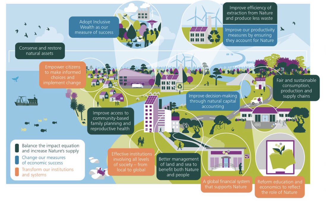 Engaging sustainably with Nature means changing how we think, act and measure success. Proposed 3 connected transitions - each underpinned by several actions:(1) ↓ demands + ↑ Nature’s supply (2) Δ measures of success (3) Transform institutions + systems(7/8)