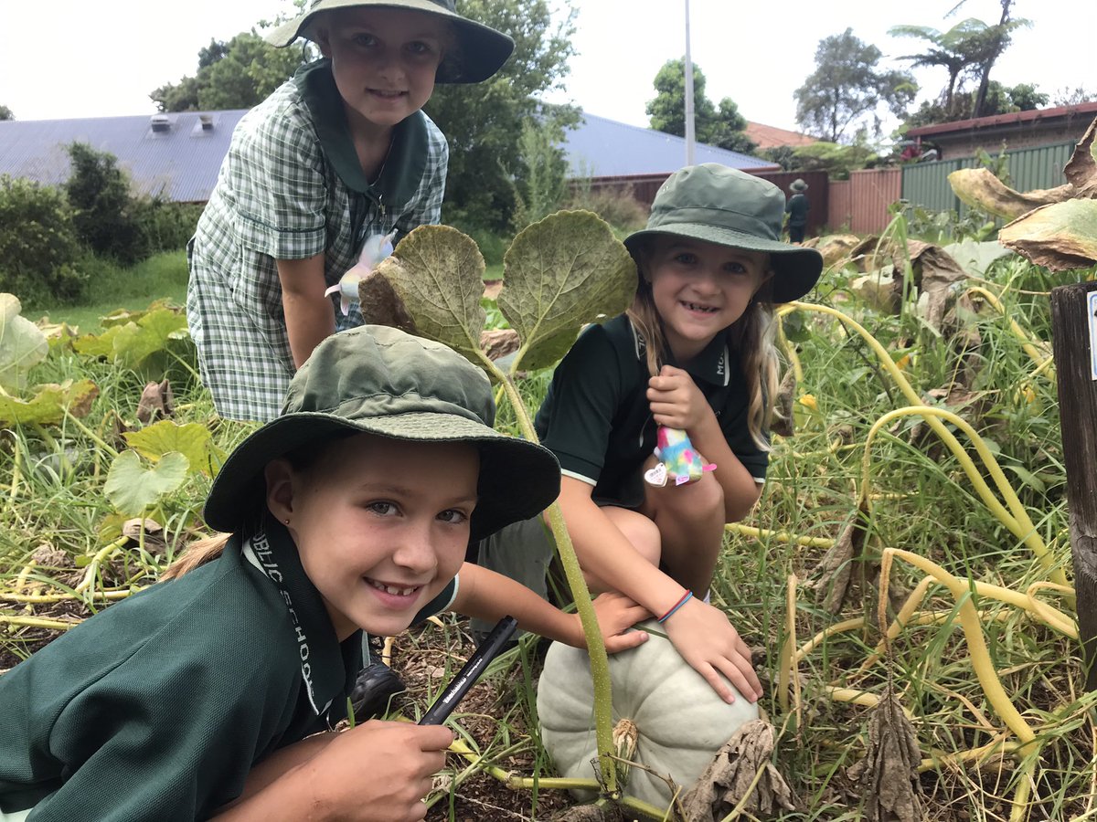 2/3 Connect tweet media