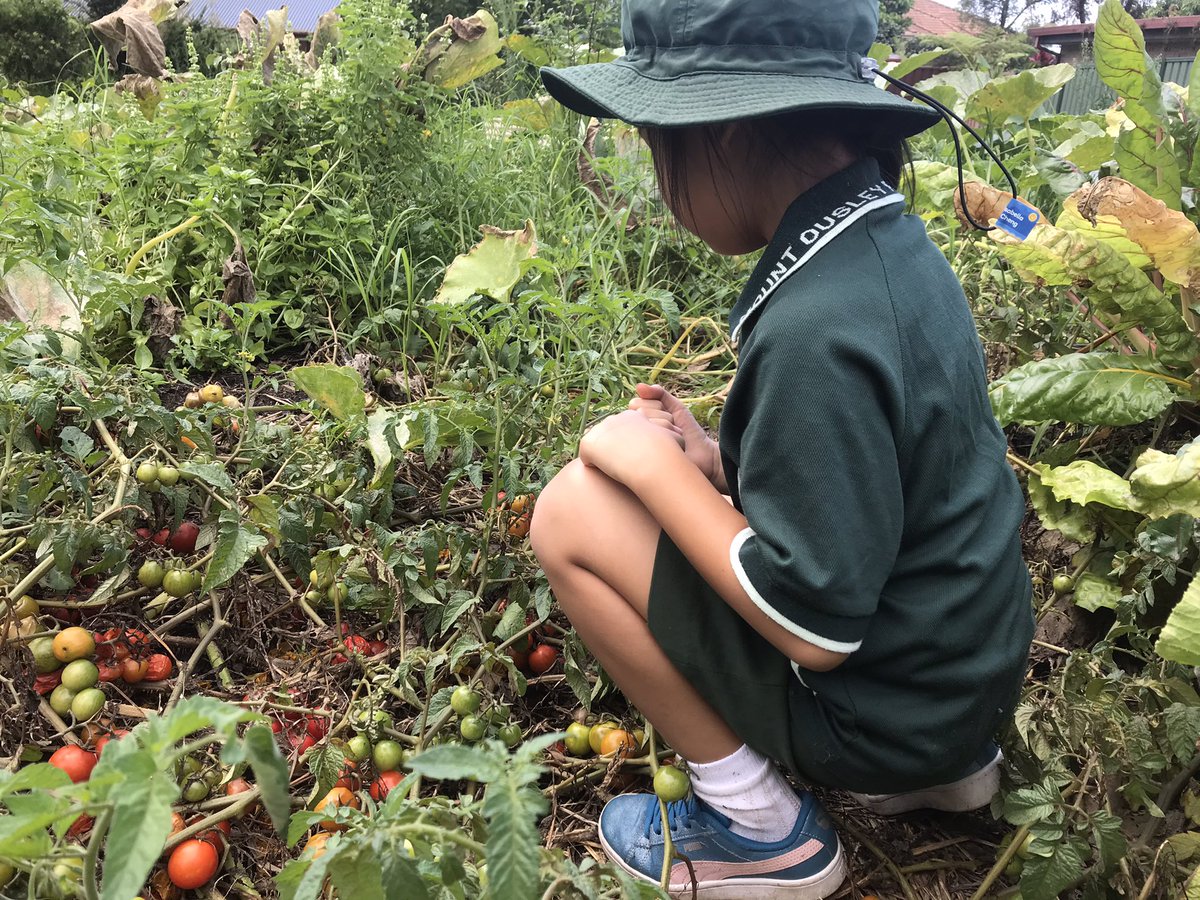 2/3 Connect tweet media