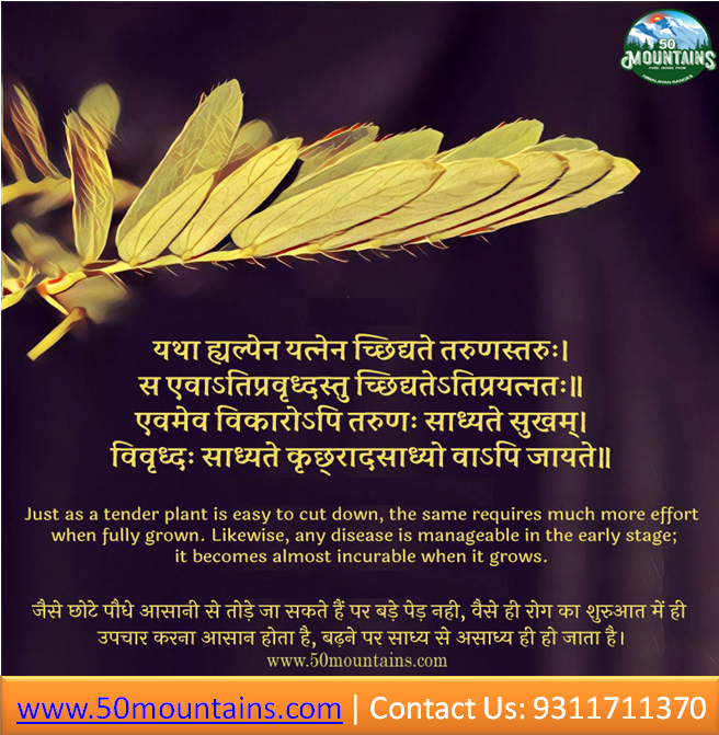 50Mountains's tweet photo. #50mountains @50Mountains 
Just as a tender plant is easy to cut down, the same requires much more effort when fully grown. Likewise, any disease is manageable in the early stage; it becomes almost incurable when it grows. https://t.co/RbevI1KKFc