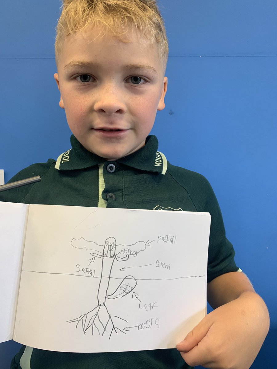 1/2 Thrive tweet media