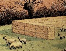 The pen of square bales - demonstrating the presence of a baler - is another sign of rural mechanisation and changes in farming. The breed of sheep is probably another, but that's the kind of thing  @herdyshepherd1 or  @TheMERL know about. 3/n