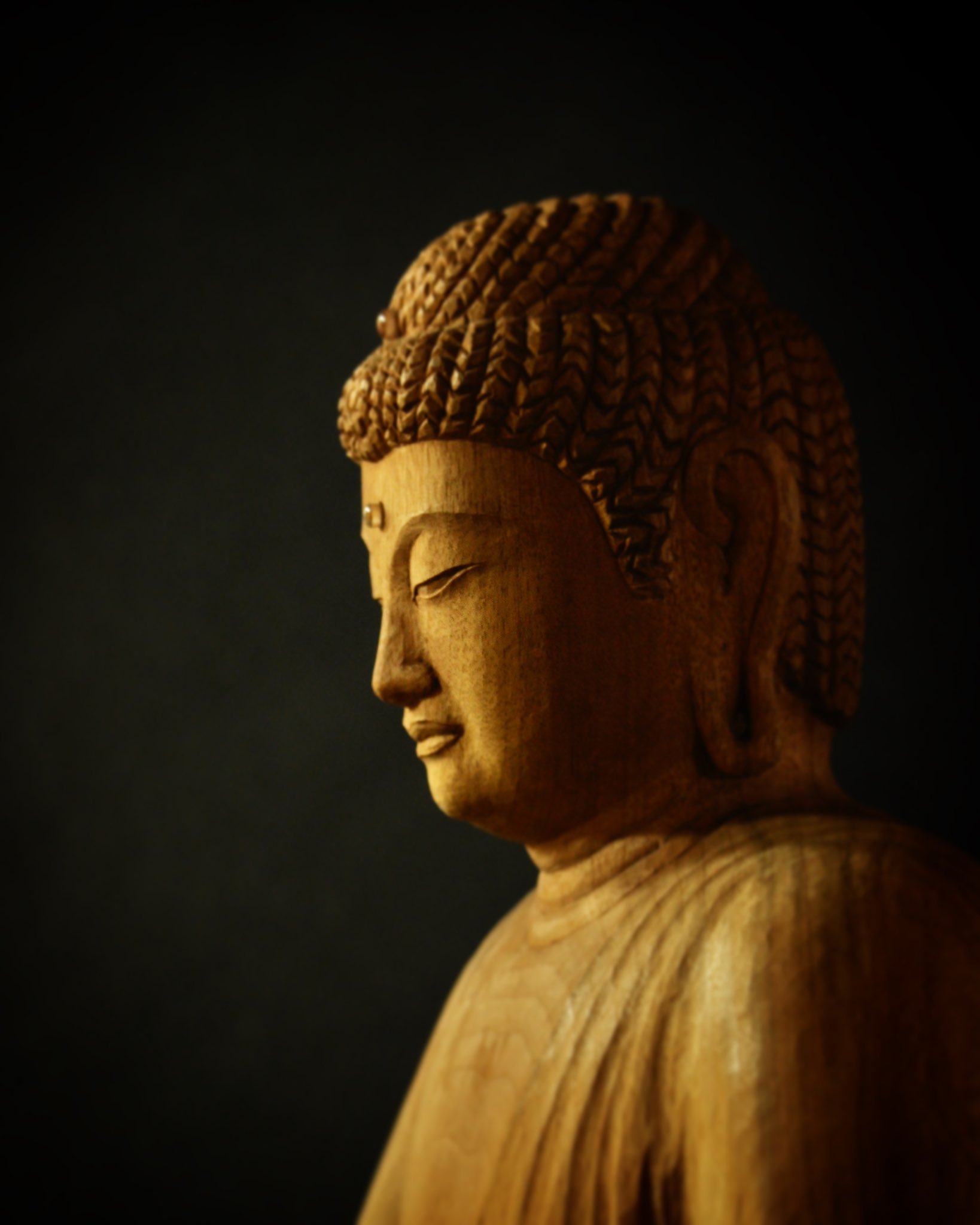 京仏師 櫻井覺山 2月を迎え 本日は節分 そして明日は立春 新しい季節の始まりです 自分を省み 新たな気持ちで精進してまいりたいと思います 釈迦如来坐像 降魔成道 櫻井琮山作 楠材 仏師 仏像 仏像彫刻 仏像好き 木彫 木彫り 京都 Kyoto