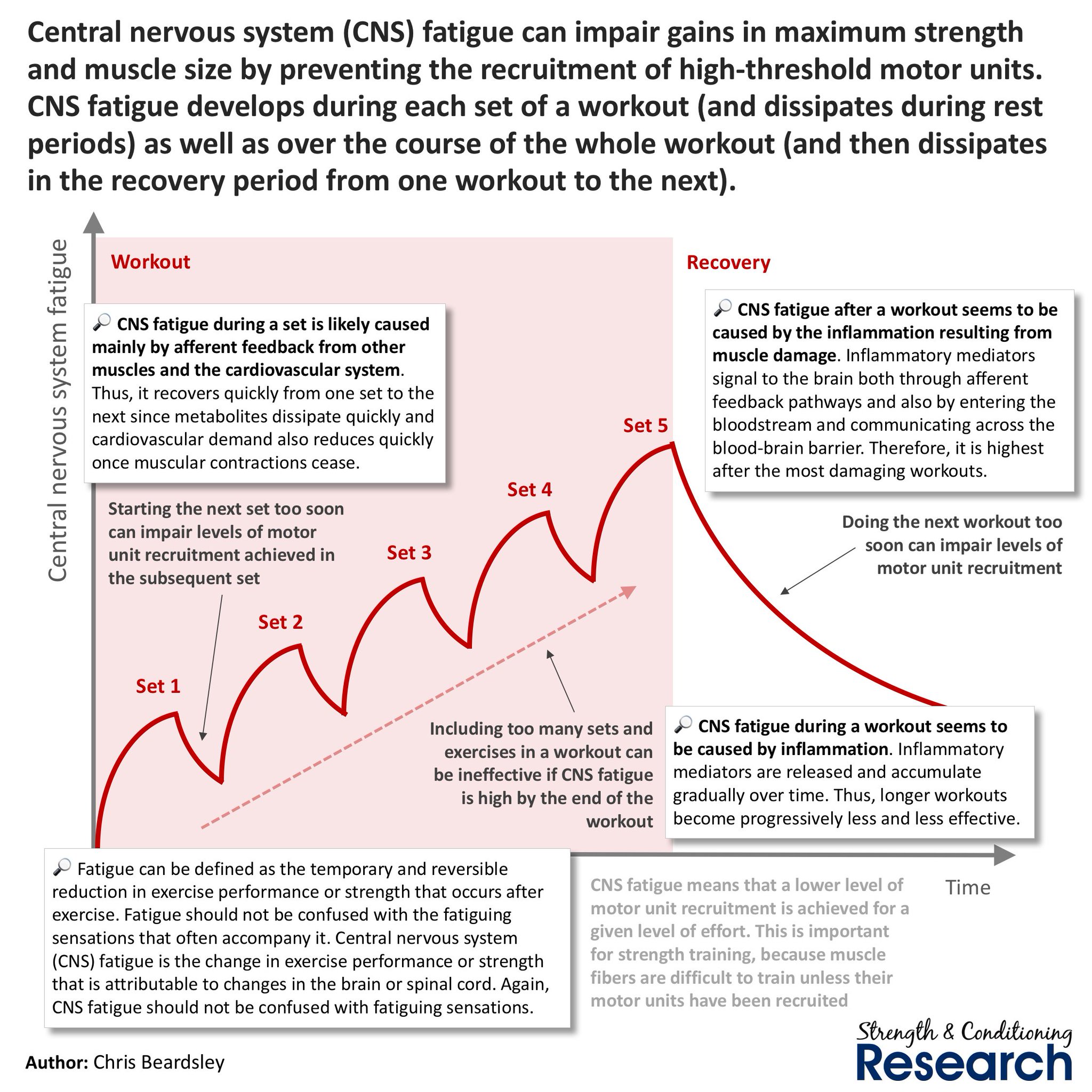 Chris Beardsley on X: &ldquo;Central nervous system (CNS) fatigue is 