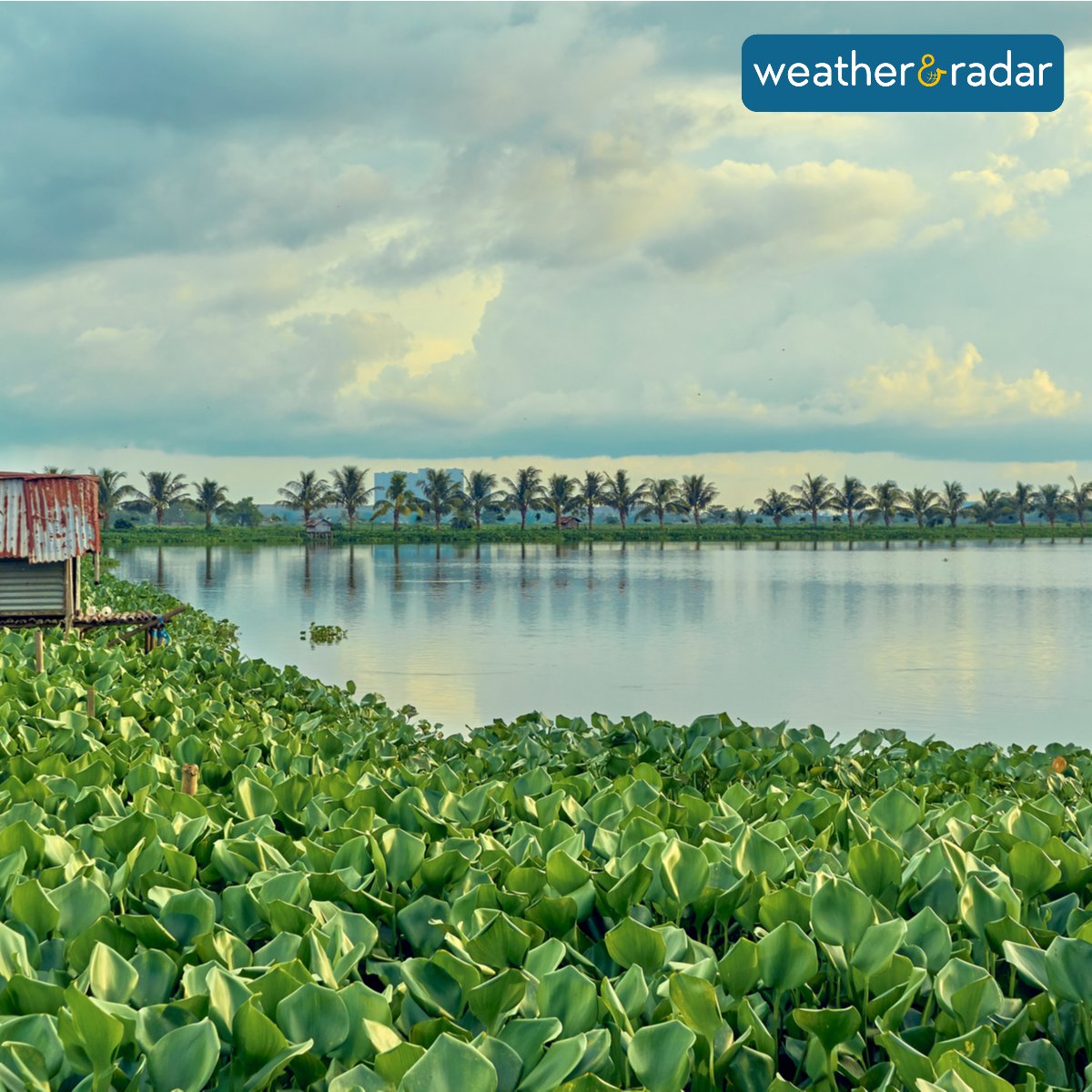 Wetlands matter! They are 'nurseries of life' - 40% of animals breed in wetlands!
Help in protecting the 42 Ramsar sites in India and a pond/lake/water body in your neighborhood!

#WorldWetlandsDay2021 #WetlandsandWater #WWD2021
#RamsarConvention #Ramsar #india