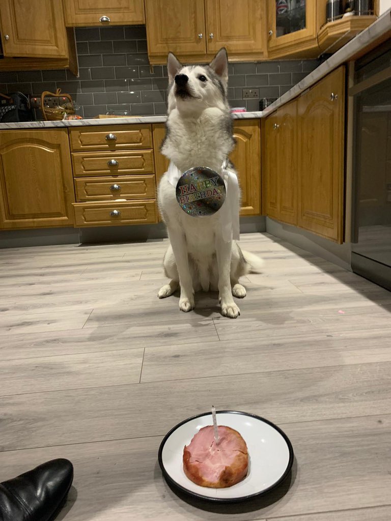 Alexcogg's tweet image. My beautiful boy is now 6