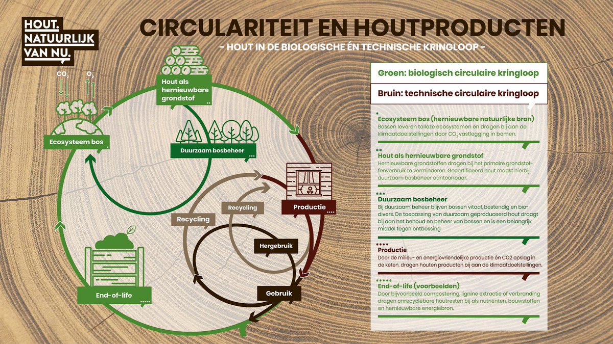Houtproducten zijn onderdeel van zowel de biologische als de technische cyclus van de #circulaireeconomie. Hoe gaat dit in zijn werk en welke unieke voordelen heeft #hout als #hernieuwbare grondstof? 👉 houtnatuurlijkvannu.nl/media/download… 

#weekvandeCE #houtnatuurlijkvannu #bouwenmethout
