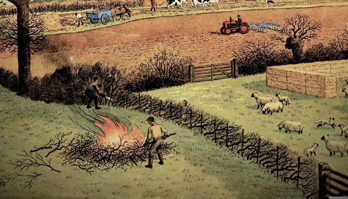 This is a pre-combine landscape: there's no sign of hedges being ripped out or gates widened to make room for big machines. The patchwork of small fields - as  @DrSueOosthuizen can tell you - is a likely sign of piecemeal enclosure, of large fields bartered, bought and sold. 14/n