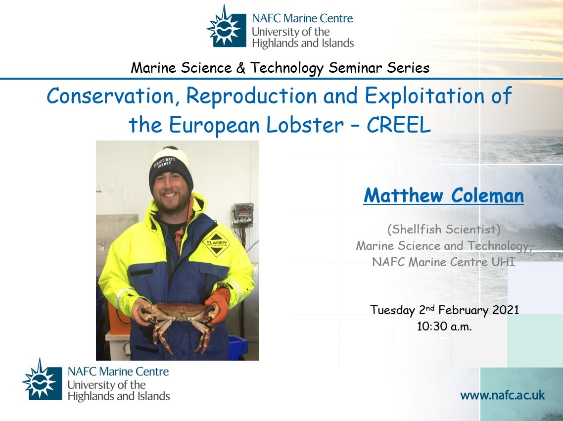 Come join us today at 10:30 for our latest seminar on the European lobster. To join, visit @NAFCShetland Events page at nafc.uhi.ac.uk/events
#fisheries #NAFCresearch #ThinkUHI #lobster #Shetland #Orkney