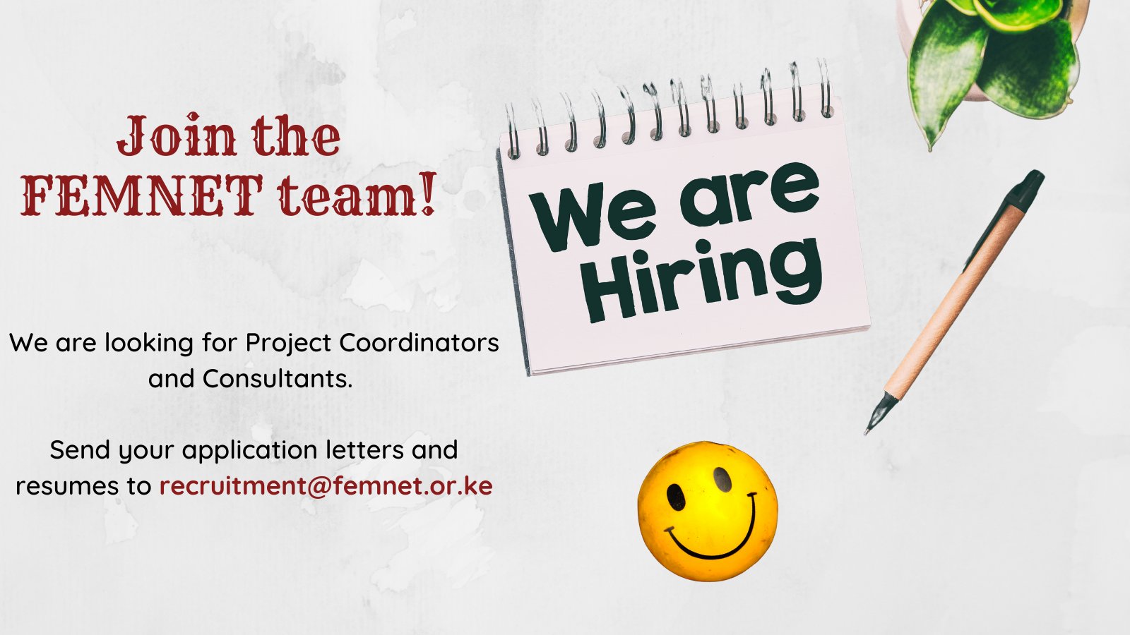 X 上的 FEMNET：“We want you to join our great team! Send your 