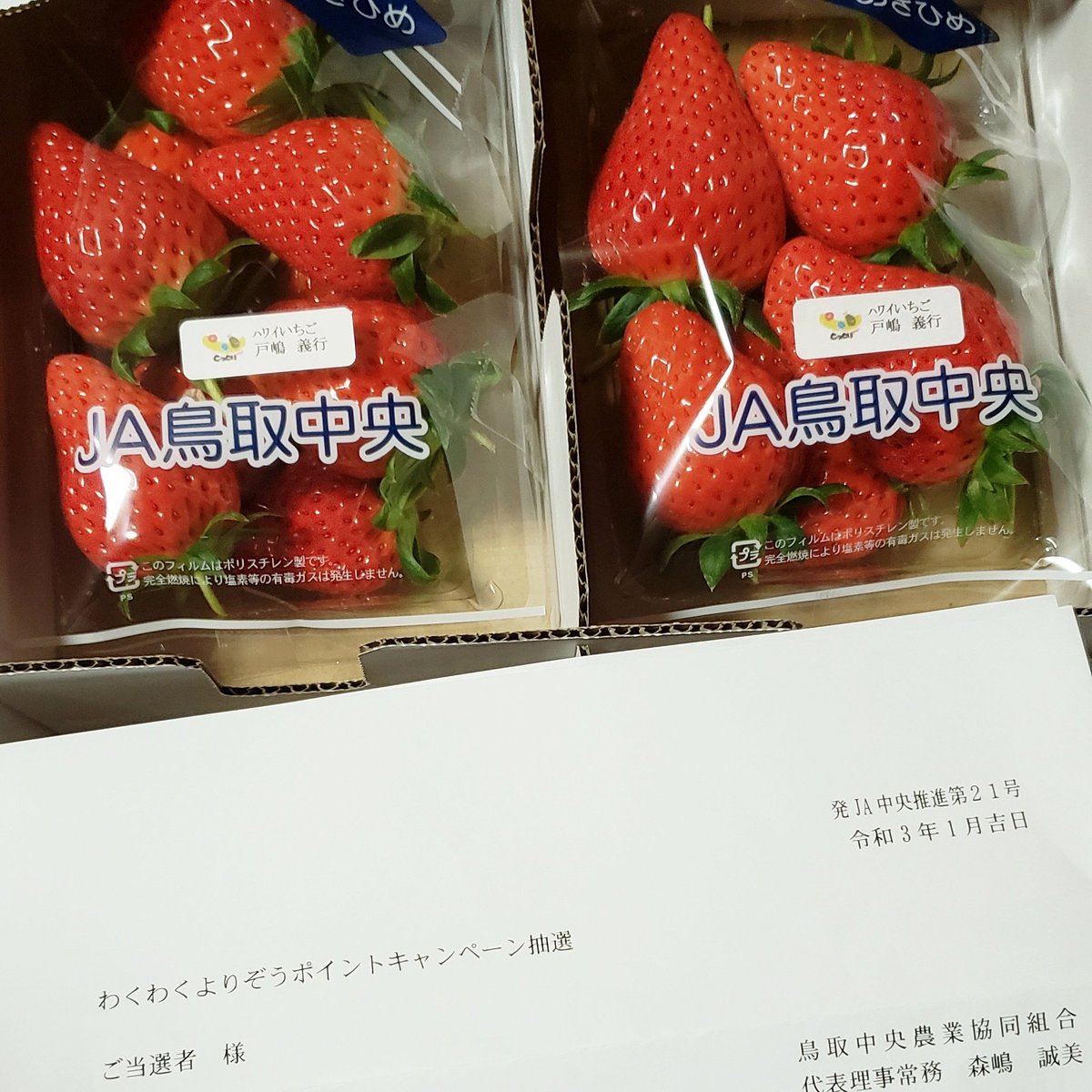 Ja鳥取中央 Twitter Search