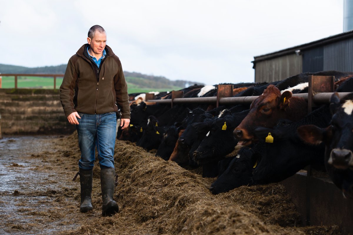 NuffieldFarming's tweet photo. (1/5) ๐ฎ๐ฅ๐ง Happy #Februdairy! How are you celebrating British dairy farmers today?
We've picked out a few dairy-focussed reports from the #nuffieldarchives for you this month... see below!
#teamdairy #grass2milk https://t.co/gTo6lbtDpy