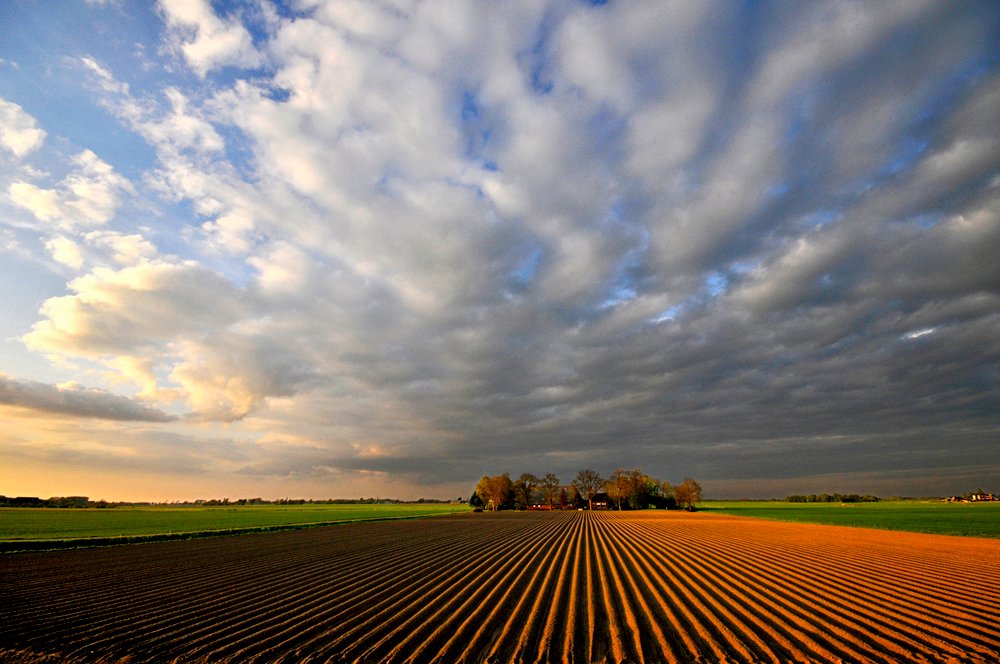 AKKERBOUW | Akkerbouwers opgelet! 🚜 Tot en met aanstaande zondag krijgen jullie de kans om je wensen voor onderzoek en kennisverspreiding te laten weten aan <a href="/boakkerbouw/">BO Akkerbouw</a> . Tot nu toe doen al 400 akkerbouwers mee! Wie volgt? 👏🏻 ➡️ ap.lc/zZmAN