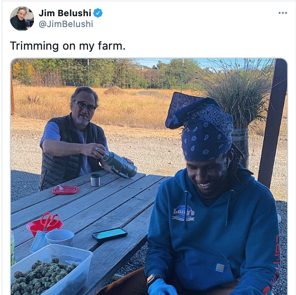 acino2020's tweet photo. Innovative, adaptive and always able to provide services to society. This is what the farmer of the future looks like 💚🇮🇹🌱
#spininelfianco #Cannabis @JimBelushi #CannabisCommunity #cannabisculture #cannabisindustry #megliolegale #Mmemberville #JointResearchCenter😂 https://t.co/e6zNgNkt2Z