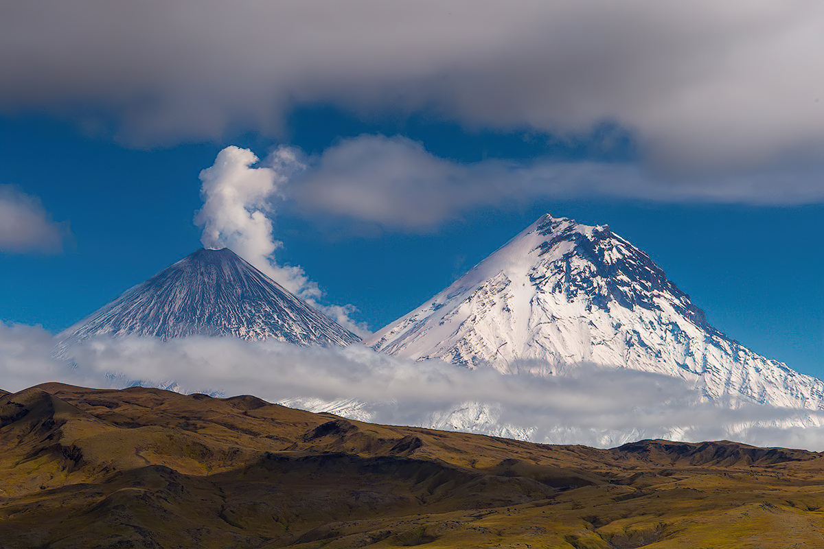 Вулкан олений камчатка. Петропавловск-камчатский тихий океан петропавловск камчатский. Вулканы камчатки вилючинский цветы. Камчатка природа. Вулкан ключевская сопка.