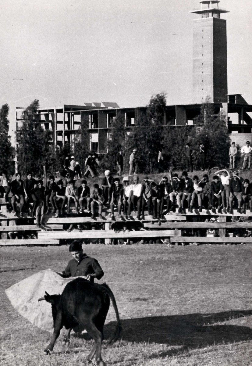 ArchivoUpo's tweet photo. Historia del #CampusUPO (3): Los años 60. 

De forma complementaria a su labor educativa, la #UniversidadLaboral se convierte en un espacio idóneo para acoger todo tipo de actividades y festejos.

(Fondo del #Archivo General de la #Universidad @pablodeolavide) https://t.co/Ngma1Urn0u