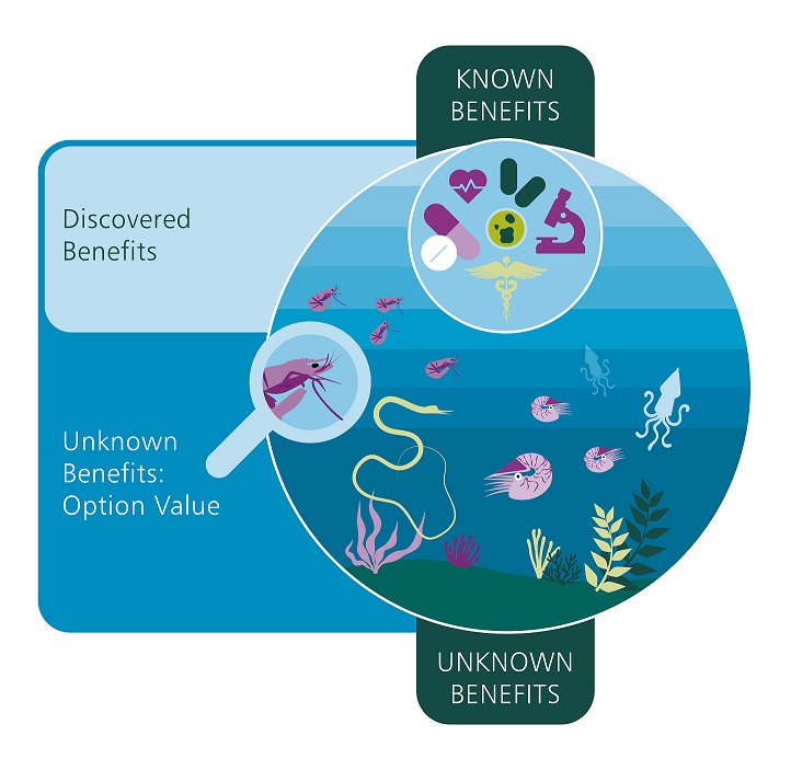 Species extinctions are not only a tragedy for biology, but they also reduce the sources of potential solutions for societal challenges now and in the future. A big loss in option value. (6/8)