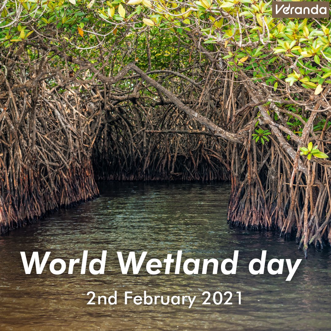 #WorldWetlandsDay commemorates the #RamsarConvention signed for the conservation and sustainable use of wetlands. This year's theme #WetlandsandWater is to focus on usage of wetlands as a source of fresh water in order to challenge the global water crisis.
#TogetherForOurPlanet