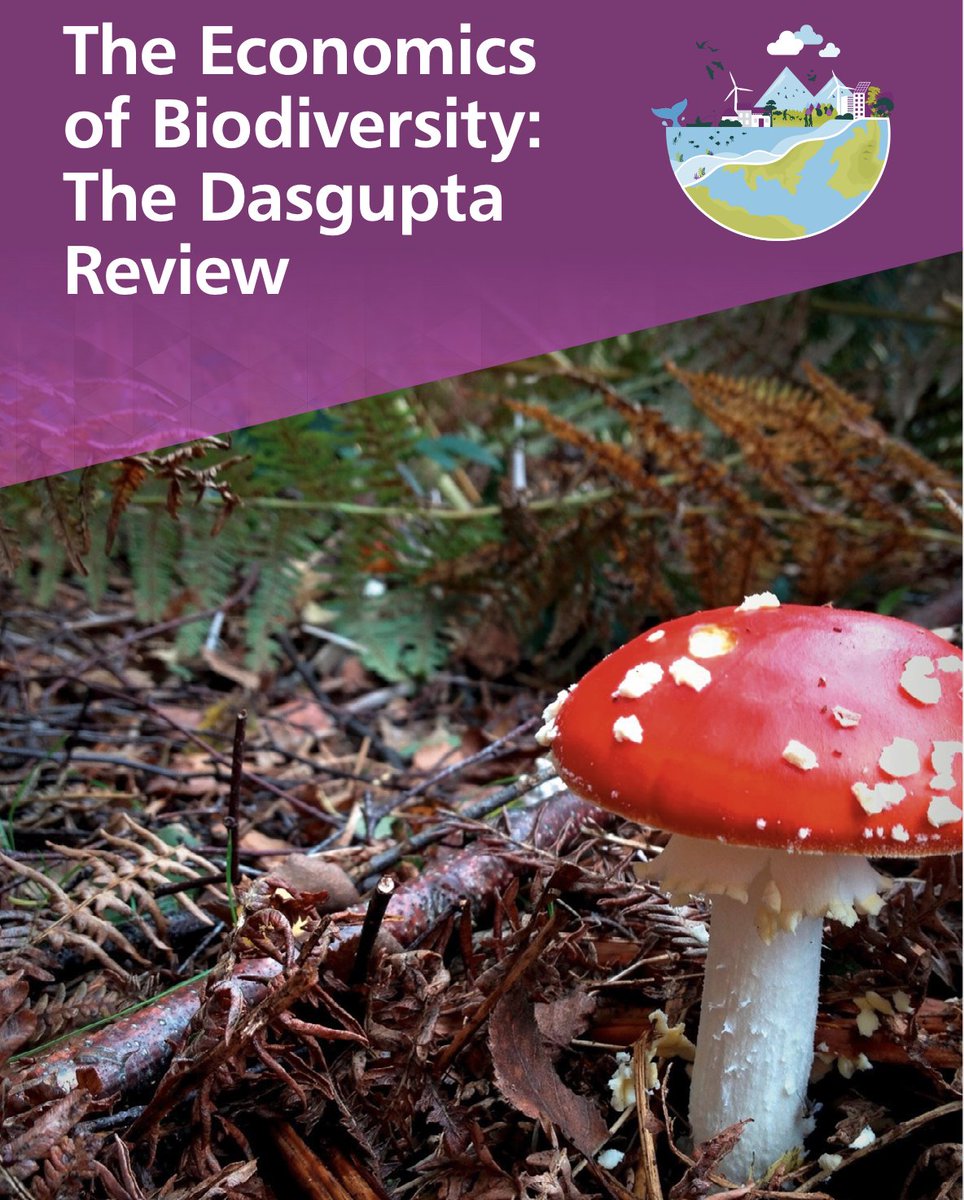 lordtev's tweet photo. Great to have final #dasguptareview on #biodiversity sponsored by @hmtreasury . They sponsored #sternreport & it started real climate action https://t.co/V95ME22cvQ