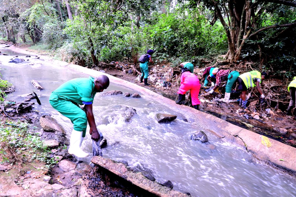 The ecosystem of City Park is greatly dependent on the flow of Kibarage river through the Park.  @Environment_Ke and  @NemaKenya have led efforts to clean the section of Kibagare river that flows through City Park  https://twitter.com/Environment_Ke/status/1309152662294851586?s=19