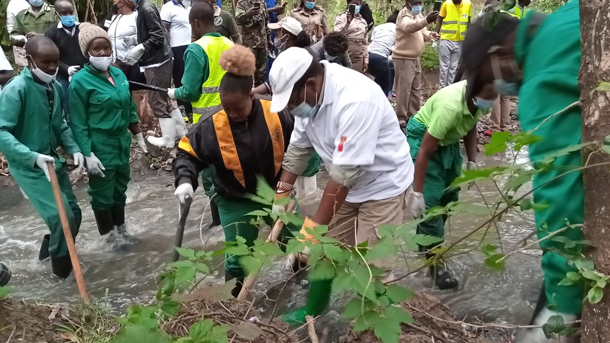 The ecosystem of City Park is greatly dependent on the flow of Kibarage river through the Park.  @Environment_Ke and  @NemaKenya have led efforts to clean the section of Kibagare river that flows through City Park  https://twitter.com/Environment_Ke/status/1309152662294851586?s=19