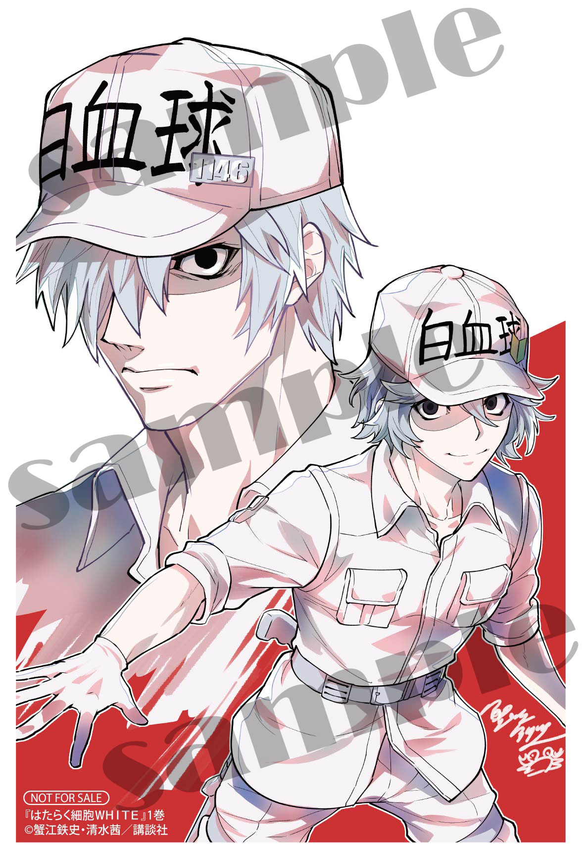 月刊少年シリウス編集部 はたらく白血球の日常 のぞいてみる はたらく細胞 の裏側を描くスピンオフ はたらく細胞white 1巻は2月9日 火 発売 巻末には描きおろし4コマ 清水茜先生監修のズッ友4人組マル秘プロフィールも収録 1話無料試し読み
