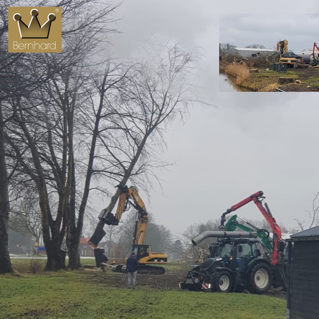 #veiligheidbovenalles #eenboomvooreenboom
Helaas hebben we onze mooie imposante bomen aan de slootkant langs de Oosterringweg #Luttelgeest moeten rooien. Ze werden te groot en vormden daardoor bij omwaaien een gevaar voor het wegverkeer. We gaan gauw nieuwe #bomen #planten.