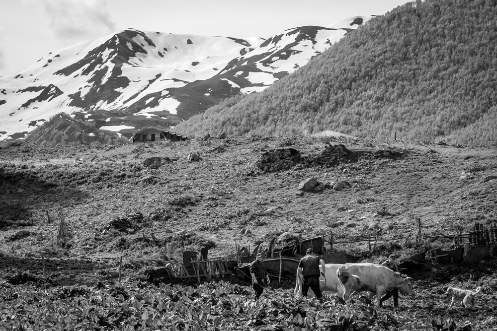 doinggeography's tweet photo. @SonjaSwissLife #TTOT
A1 For me, one of the key activities is the opportunity to participate in the daily life of the hosts to learn about rural practices, for example, in
#Svanet #Georgia #blackandwhitephotography by @doinggeography https://t.co/Ix9IauCYwO