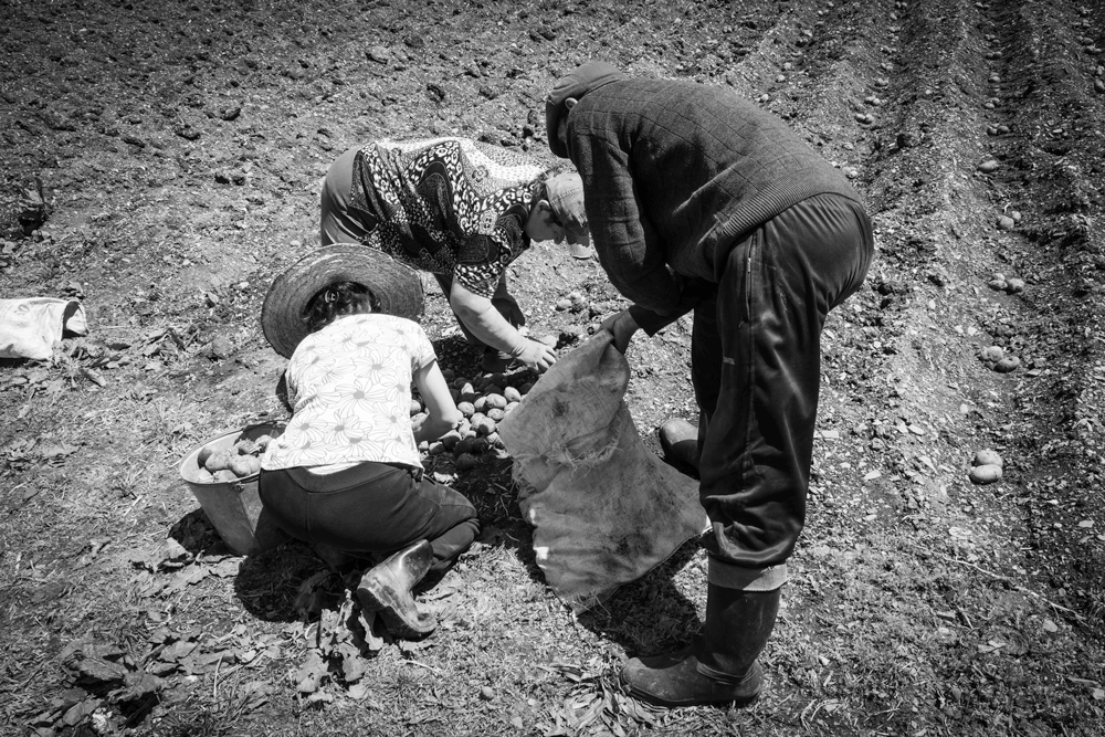 doinggeography's tweet photo. @SonjaSwissLife #TTOT
A1 For me, one of the key activities is the opportunity to participate in the daily life of the hosts to learn about rural practices, for example, in
#Svanet #Georgia #blackandwhitephotography by @doinggeography https://t.co/Ix9IauCYwO