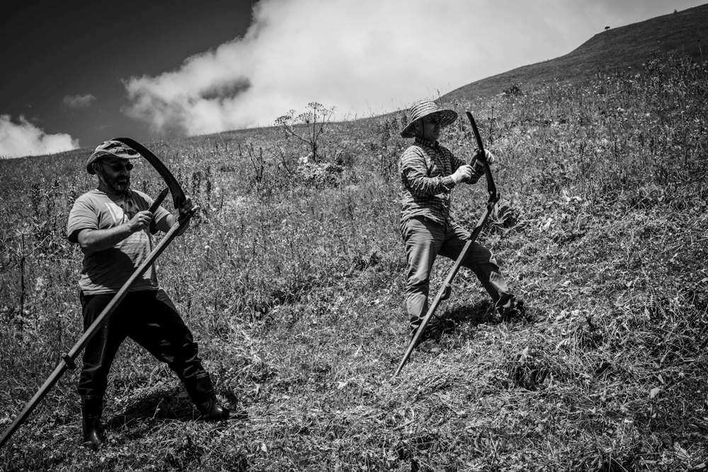 doinggeography's tweet photo. @SonjaSwissLife #TTOT
A1 For me, one of the key activities is the opportunity to participate in the daily life of the hosts to learn about rural practices, for example, in
#Svanet #Georgia #blackandwhitephotography by @doinggeography https://t.co/Ix9IauCYwO